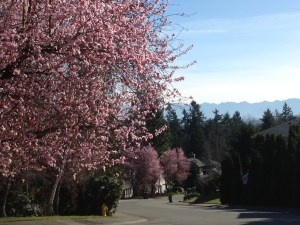 Early spring -- a great day for a walk ... and poetry