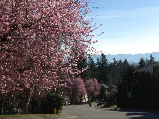 Early spring -- a great day for a walk ... and poetry