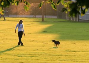 Blonde girl walks a black dog