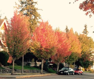 All of this aching beauty will decay