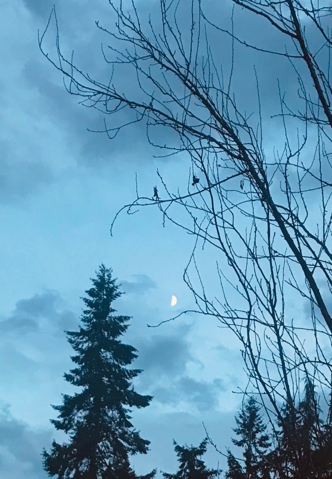 I have watched the half moon disappear