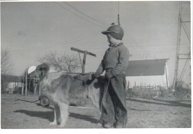 Farm boy leading a dog