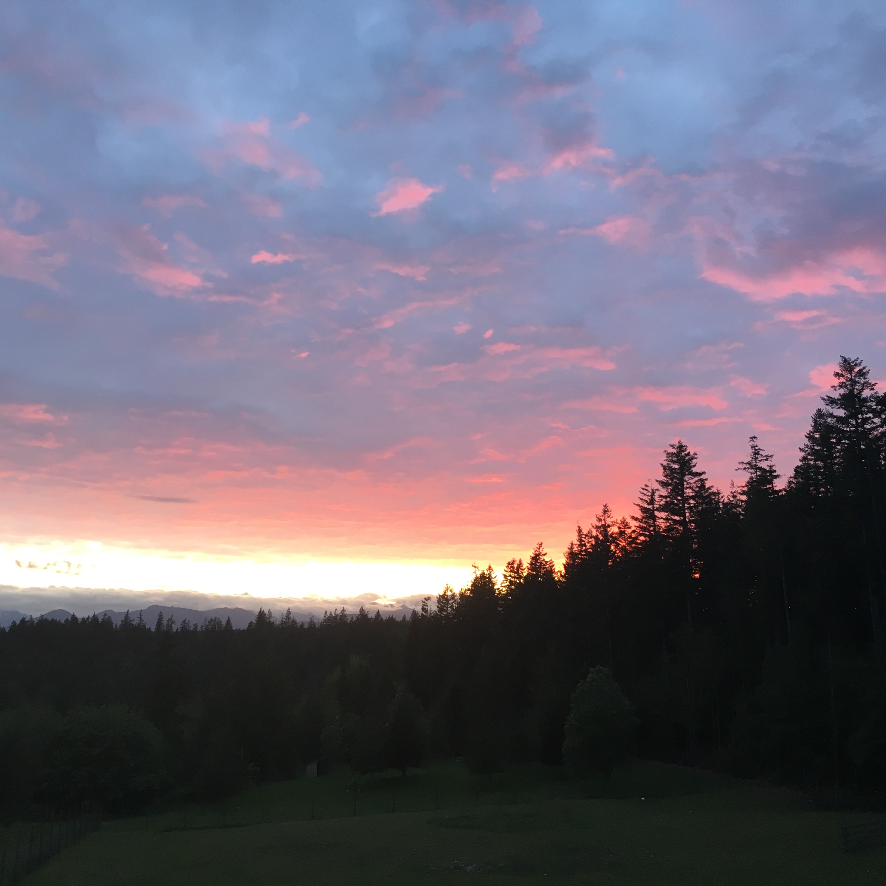 Sunset over the Olympic Mountains