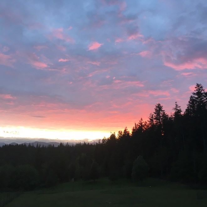 Sunset over the Olympic Mountains