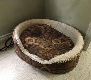 The dog bed sits empty