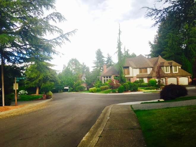 Suburban neighborhood