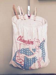 clothes-pin-bag