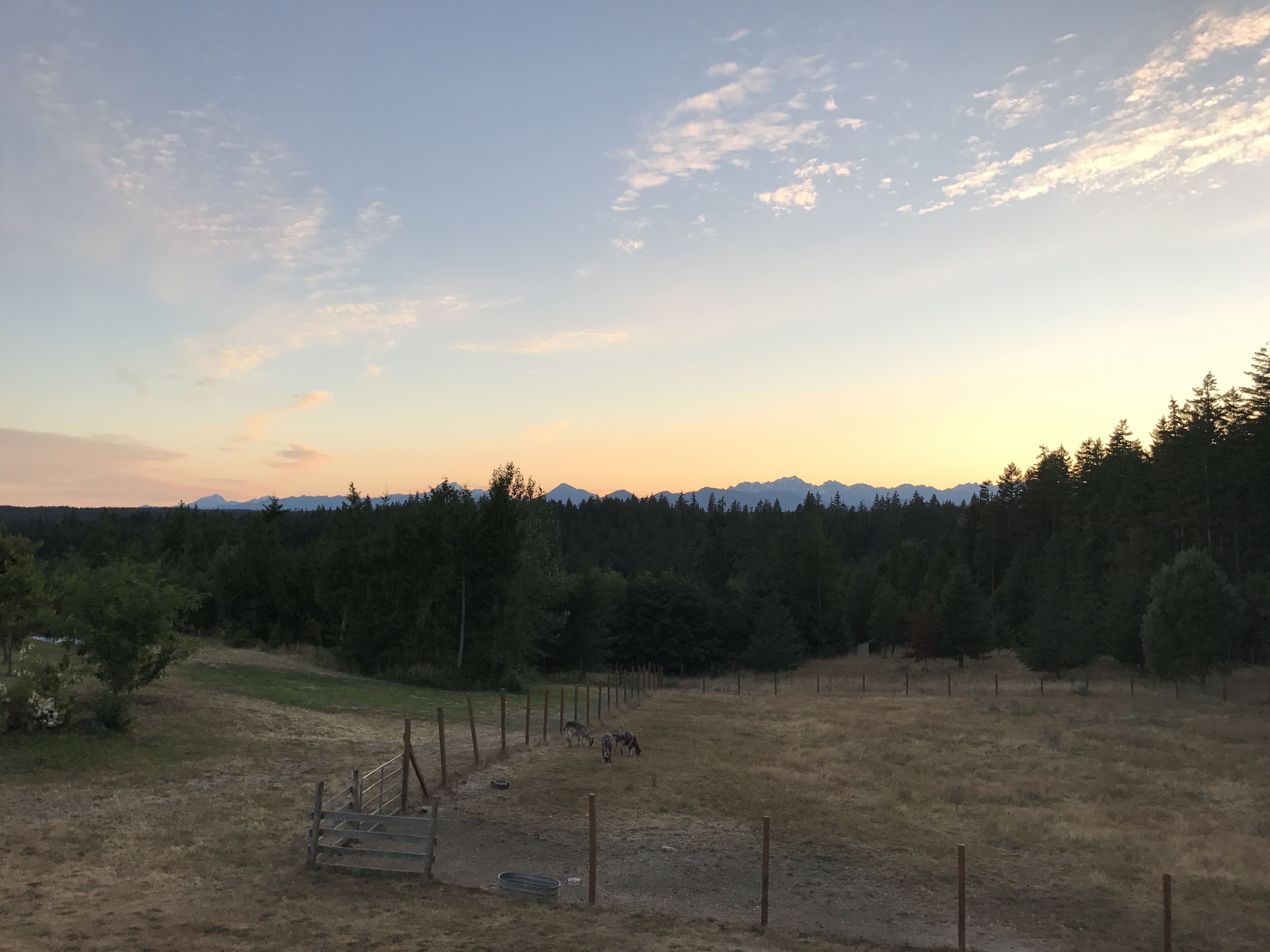 Midsummer sunset over the Olympics