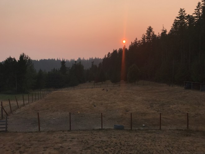 Canada forest fires sent smoke south into Washington state