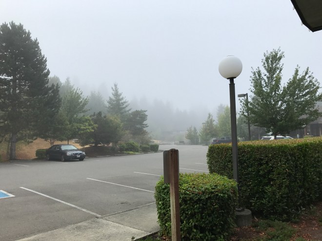 Day of the total eclipse