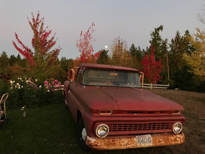 Fall's first full moon on Raspberry Ridge