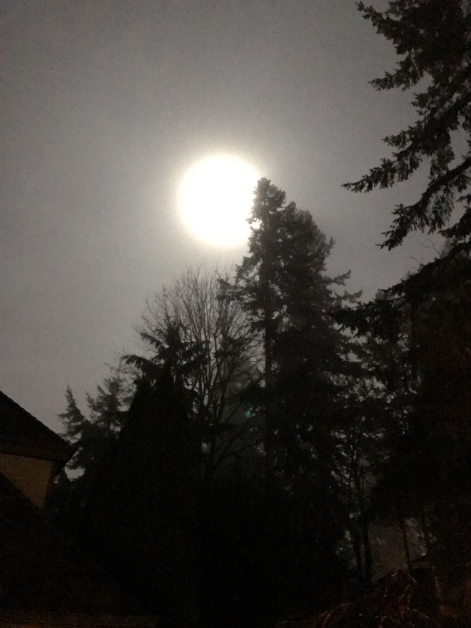 The Super Moon of 2017