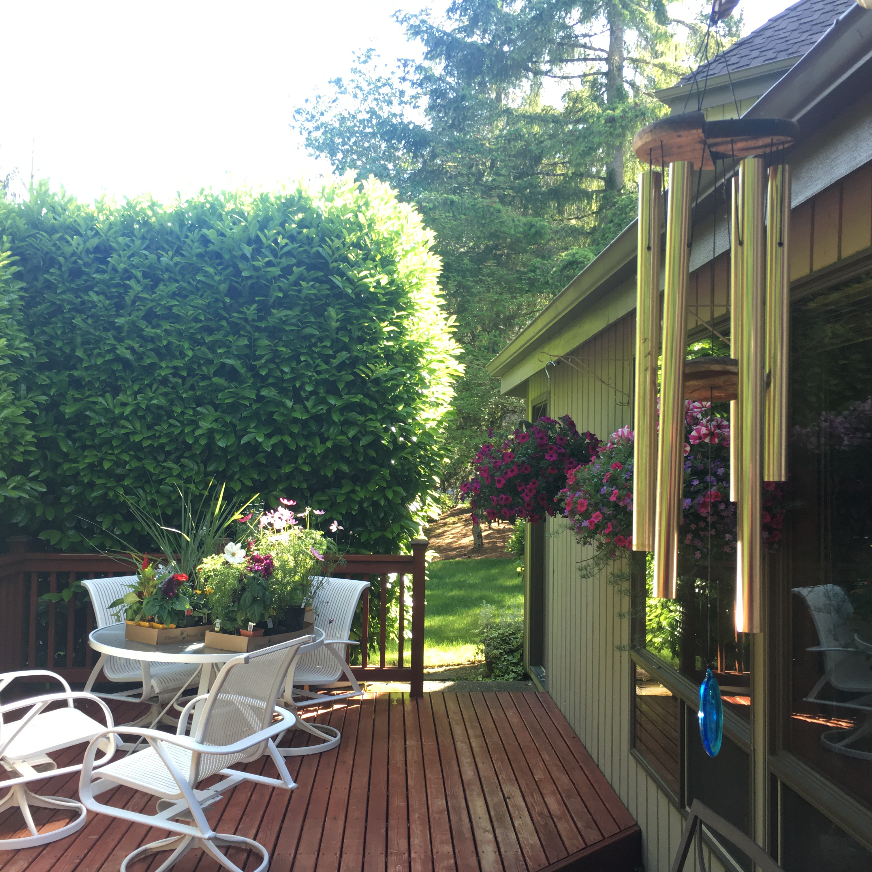 Our paradise is something less instead