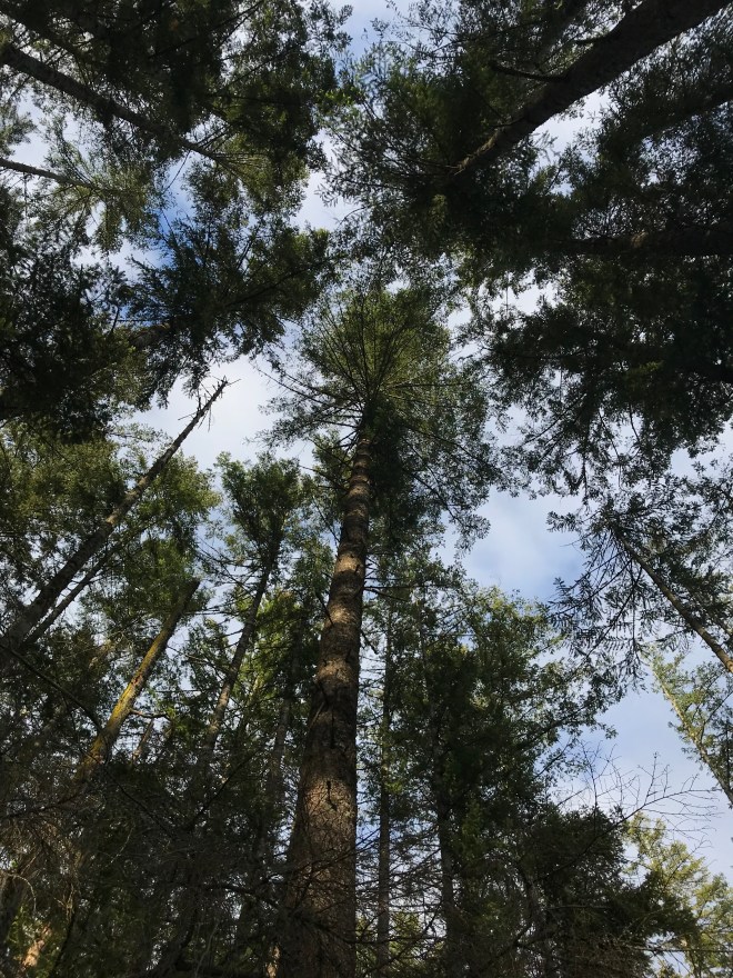 Don't shield your limbs below nor lips above