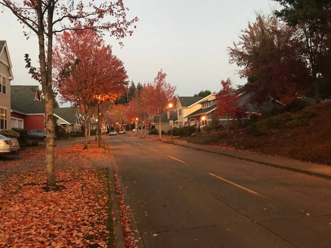 October's blaze adorns the lawn