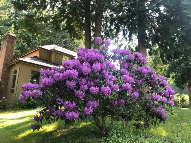 And balmy blossoms like a banquet spread