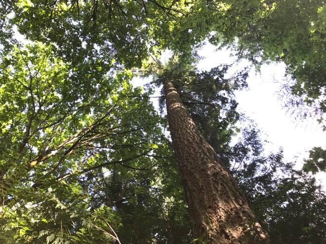 Don't shield your limbs below nor lips above