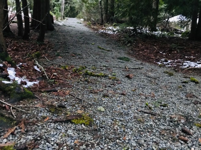 The path gives way to stone