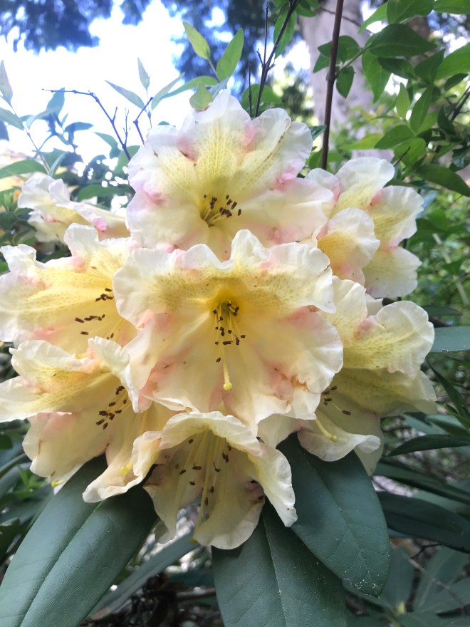 When May bursts forth